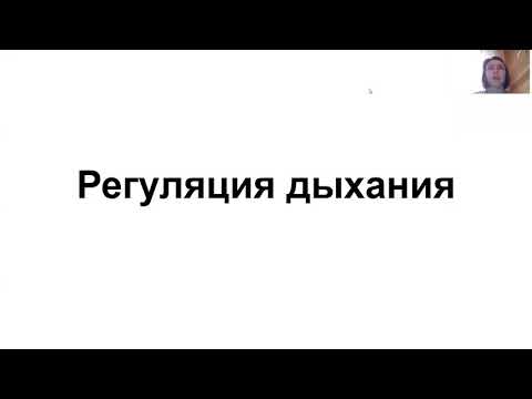 Видео: Регуляция дыхания