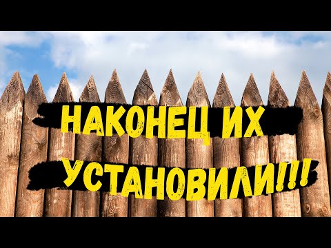Видео: #7 Купил заброшенный участок для будущего дома/ НОВЫЕ помощники/ 2022