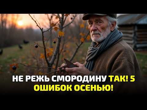 Видео: Вот почему твоя смородина не плодоносит! Одна ошибка при осенней обрезке!