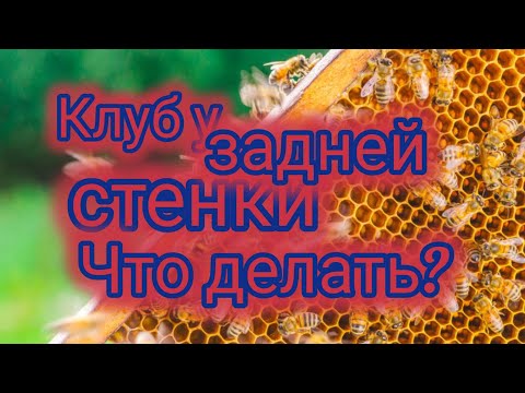 Видео: Клуб сел у задней стенки.Что делать?