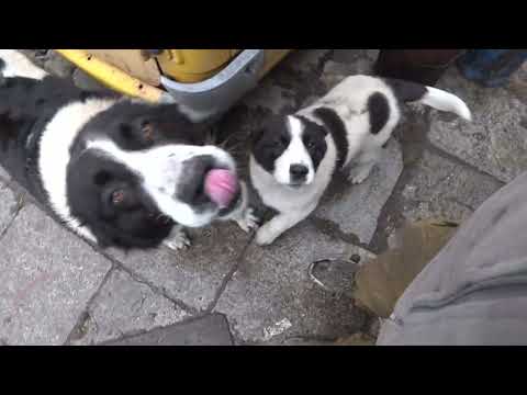 Видео: Самый ДОРОГОЙ станок в моём гараже настраиваем...