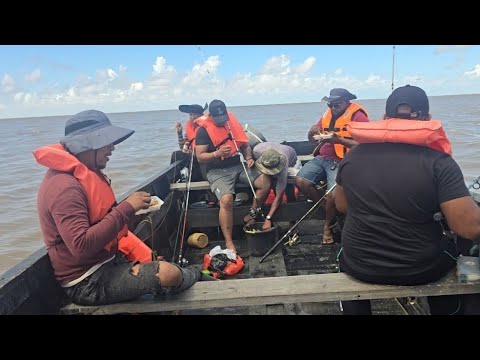 Видео: Рыбалка в реке Демерара. Сомы повсюду.