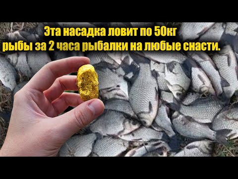 Видео: Рыба клюёт на каждом забросе на это! Рыбак показал как сделать супер насадку для рыбалки!