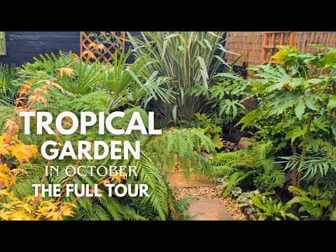 Видео: Планировка сада: посадки/границы/дорожки🌴🌿