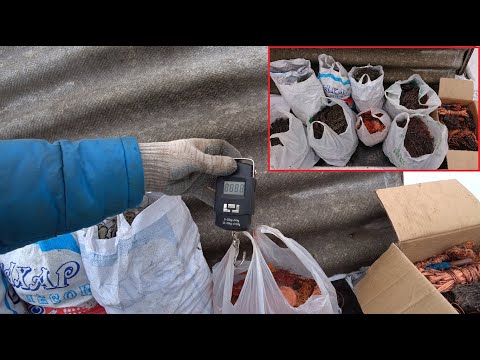Видео: Весь медный арсенал который я накопил. Добываю медь из проводов, очередная ревизия