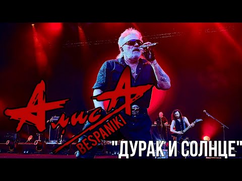 Видео: 07.06.25 - АлисА - "Дурак и Солнце" - Наш-Ваш Выбор - Зелёный театр