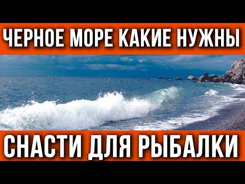 Видео: Снасти для рыбалки на Черном море. Что взять в отпуск?