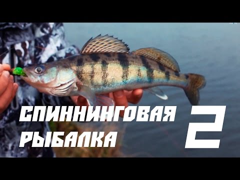 Видео: Ловля джигом с берега на Москве реке