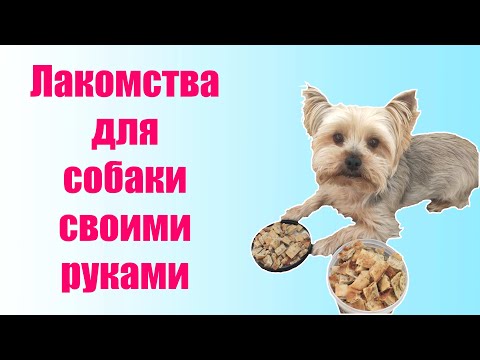 Видео: Готовим лакомство для собаки дома || Вкусные и простые вкусняшки для собак
