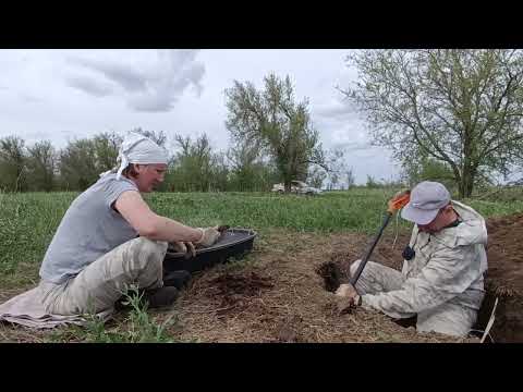 Видео: #Добиваем яму! Сколько в ней всего ещё "вкусного"?!