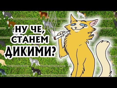 Видео: НОВАЯ ИГРА ПРО КВ! - Что такое Вилд и с чем его едят