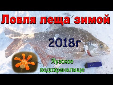 Видео: Ловля леща зимой на Яузском водохранилище. База Пудыши