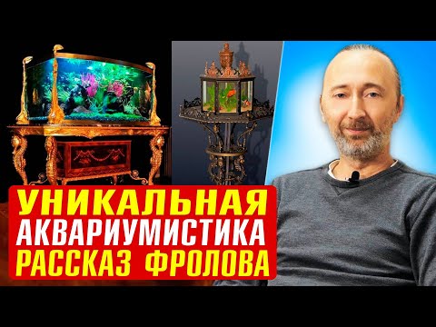 Видео: АКВАРИУМЫ Фролова: моя история, рыбы, амфибии, медузы, корма..