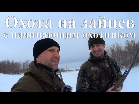 Видео: Охота на зайцев с начинающим охотником