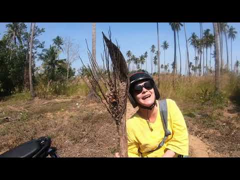 Видео: Таиланд  Ко Чанг Обратная сторона