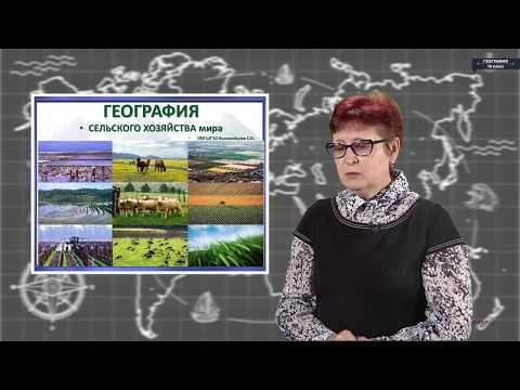 Видео: География - 10 класс - Сельское хозяйство мира. Транспорт мира