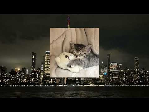 Видео: Музыка для сна🌙 | Плейлист для глубокого расслабления и медитации | Playlist for sleep💤