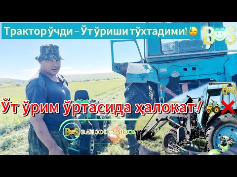 Видео: Тракторсиз ўт ўримни давом эттирса бўладими?🚜#чорвачилик #ферма #қишлоқхўжалиги #узбекистан#куйлик 