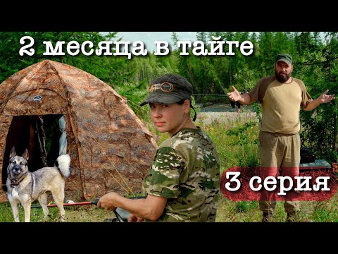 Видео: 2 месяца с женой в тайге | 12 тайменей в одной яме | Обустраиваем быт в лагере, ловим хариуса | ч.3