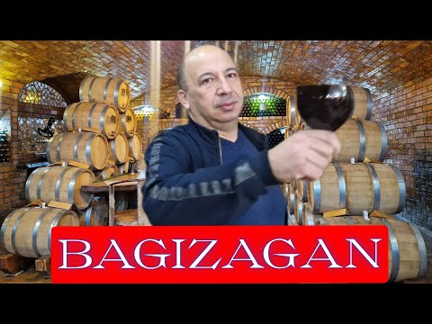 Видео: BAGIZAGAN - первый ОТЕЛЬ в УЗБЕКИСТАНЕ с ВИННЫМ ПОГРЕБОМ #bagizagan #самарканд #ранокамолова