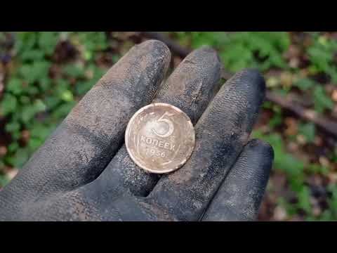 Видео: Солдатики, значки, монеты💥Осенняя прогулка по лесу дарит хорошее настроение!!! 💥💥💥