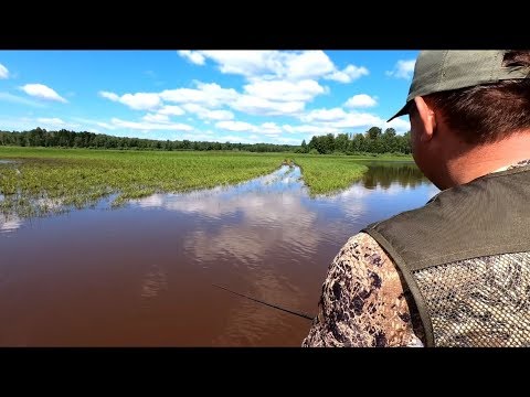 Видео: ЛОВЛЯ НА НЕОГРУЖЕННУЮ РЕЗИНУ!!!Рыбалка в траве. Спиннинг 2019. Ловля щуки.
