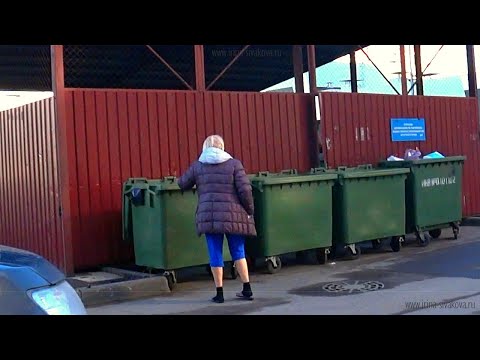 Видео: Не заключал договор, нет квитанций, не прописан: отвечаю на главные вопросы о плате за вывоз мусора