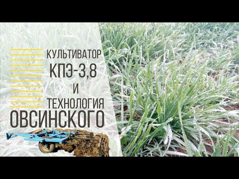 Видео: Культиватор КПЭ 3,8 и технология Овсинского