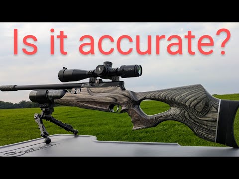 Видео: Daystate Wolverine R — мощность, точность и тестирование пуль и пулек