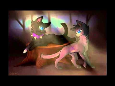 Видео: Коты-Воители. Бич  ,, Monster ''