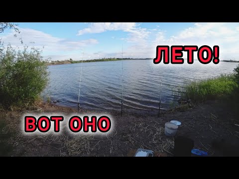 Видео: Нура. Клёв как в сказке. Рыбалка удалась.