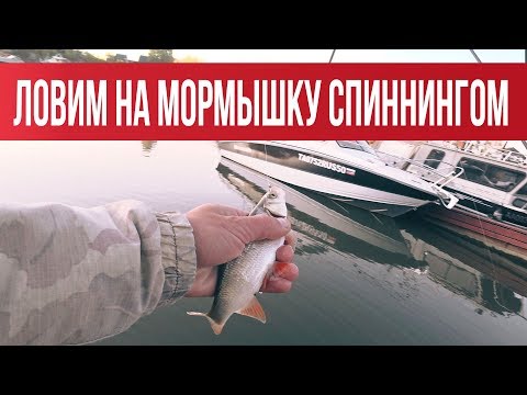 Видео: Мормышинг - Если еще не пробовали то обязательно попробуйте! | Рыбалка с Fishingsib