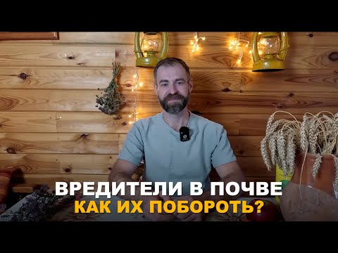 Видео: ПОЧВЕННЫЕ ВРЕДИТЕЛИ УНИЧТОЖАЮТ ВАШ ОГОРОД? Способы борьбы с почвенными вредителями в огороде.