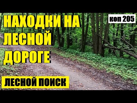 Видео: или НЕОЖИДАННАЯ НАХОДКА НА ЛЕСНОЙ ДОРОГЕ.. коп 205