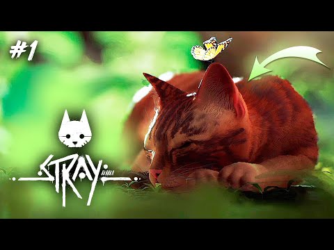 Видео: САМЫЙ МИЛЫЙ КОТАНЫЧ ЗДЕСЬ ● Stray ● ПРОХОЖДЕНИЕ #1