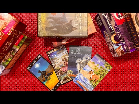 Видео: МОЯ КОЛЛЕКЦИЯ ТАРО 4 (КОШАЧЬЯ): колоды с котиками 🐈 и собачками. Снимаем с @MagdalenaRosa1317 .
