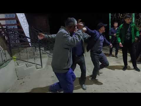 Видео: туй пунук