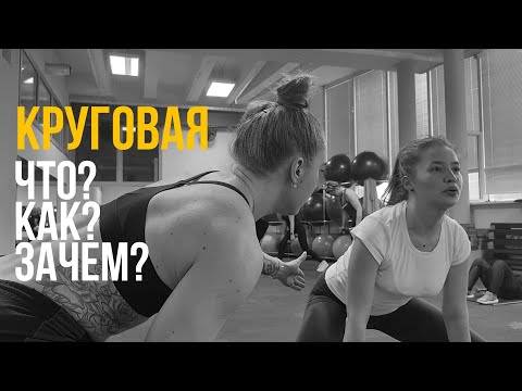 Видео: КРУГОВАЯ ТРЕНИРОВКА | что? зачем? как? |  групповая тренировка