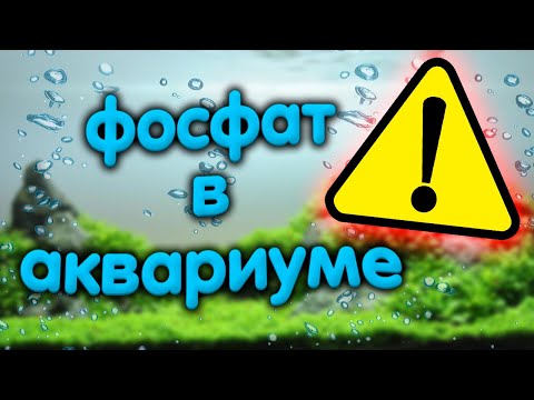 Видео: Фосфат или фосфор в аквариуме. Почему исчезает, пропадает, обнуляется фосфат, сколько его нужно.