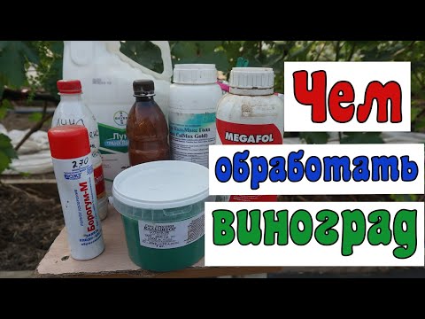 Видео: Профилактическая обработка винограда.
