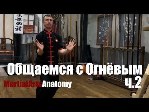 Видео: Общаемся с Андреем Огнёвым ч.2 Белый журавль