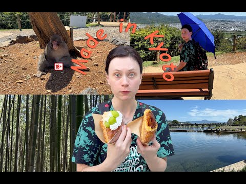Видео: ♥Japan Vlog 🇯🇵♥ Вдохновляющий Kyoto! В гостях у японских макак и мистический Arashiyama Bamboo Grove