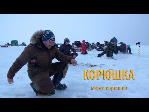 Видео: За корюшкой на западное побережье Камчатки