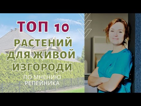 Видео: Топ 10 растений для живой изгороди. По мнению РЕПЕЙНИКА