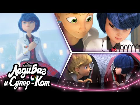 Видео: ЛЕДИ БАГ И СУПЕР-КОТ | 🐞 ЭДРИГАМИ 🔝 | СЕЗОН 4 | Официальный канал