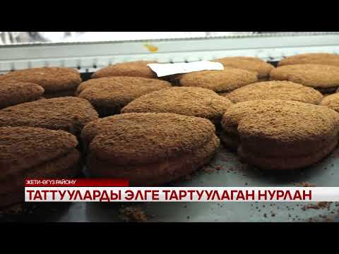 Видео: Таттууларды элге тартуулаган Нурлан