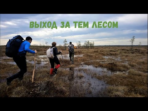 Видео: Мшинские болота - "Пролетая над Мочалищем". Сквозь мочажины и упругий мох.