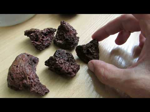 Видео: Буцефаландры - мой первый опыт. Готовимся к редизайну аквариума.