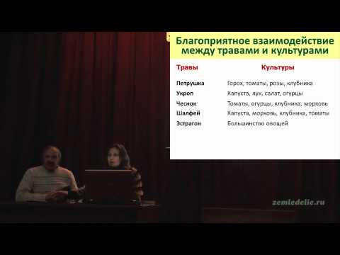 Видео: Смешанные посадки