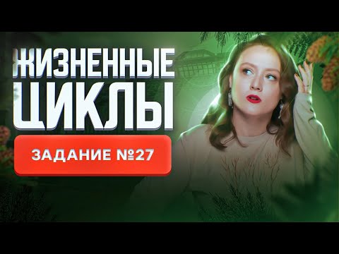 Видео: Жизненные циклы | Задание №27 | Подсчёт хромосом | ЕГЭ-2025 по биологии